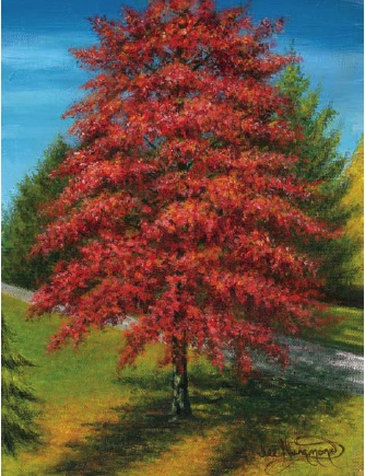 Tutoriales de pintura acrílica - árbol de otoño